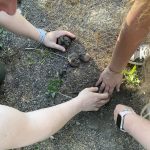 Private Tuscany experience — wine tasting in Chianti with MyTuscanDays
