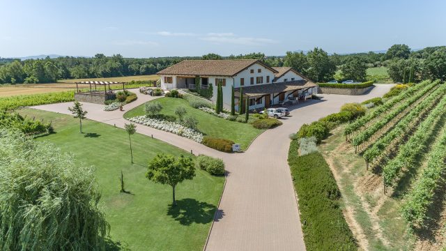 Prima-foto-home-fissa-con-sopra-scritta-Baldetti-PRODUTTORE-NELLA-TERRA-DI-CORTONA